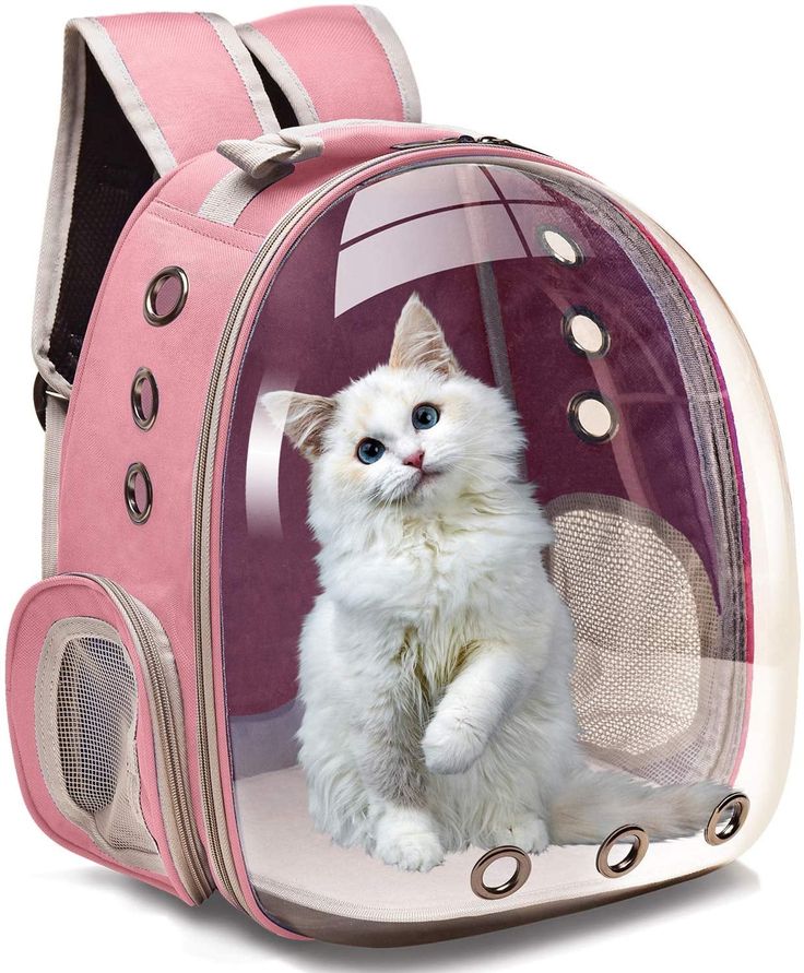 Transparent Capsule Pet Travel Bag Backpack for Puppies Dogs Cat Carriers Bag with Trolley Wheel,Easy Carry for car Traveling.