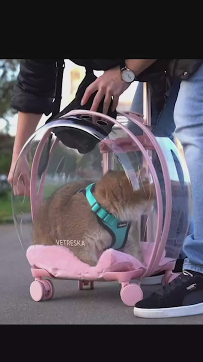 Transparent Capsule Pet Travel Bag Backpack for Puppies Dogs Cat Carriers Bag with Trolley Wheel,Easy Carry for car Traveling.